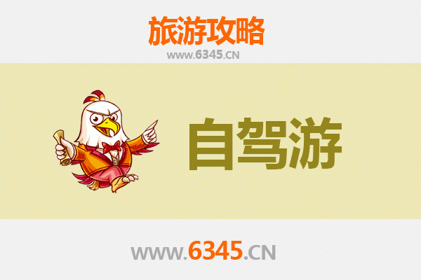 昌江国营霸王岭林场自驾游攻略：探秘海南雨林秘境