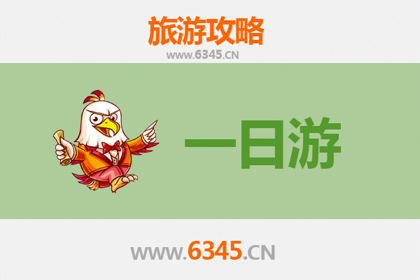 昌江国营霸王岭林场一日游攻略：探秘热带雨林，预算与行程全解析