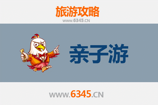 昌江国营霸王岭林场亲子游全攻略：探秘雨林奇趣，共享自然时光