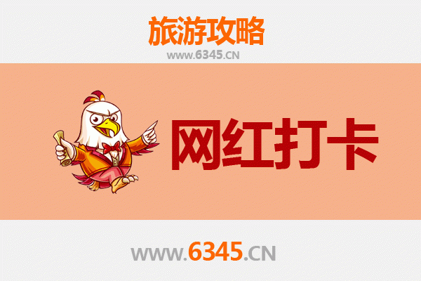 昌江霸王岭林场网红打卡全攻略：探秘雨林奇境与黎族风情
